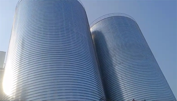 柳林2座混凝土高架卷板仓